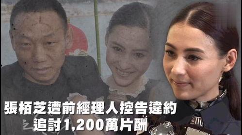 娱乐吃瓜在哪里看,盘点各大平台热门八卦资讯汇总