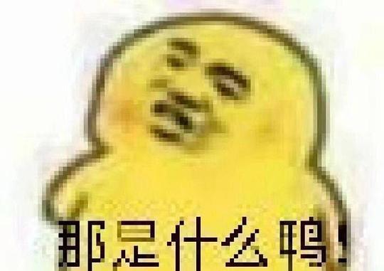 吃瓜表情包的意思是什么,网络时代的社交密码