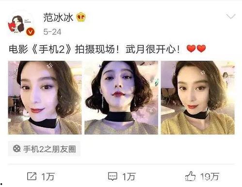 娱乐圈的吃瓜影帝笔趣阁,影帝笔趣阁背后的瓜田秘闻