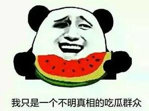有吃瓜群吗