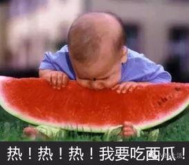 玩泥看娱乐吃瓜,揭秘娱乐圈的泥与瓜